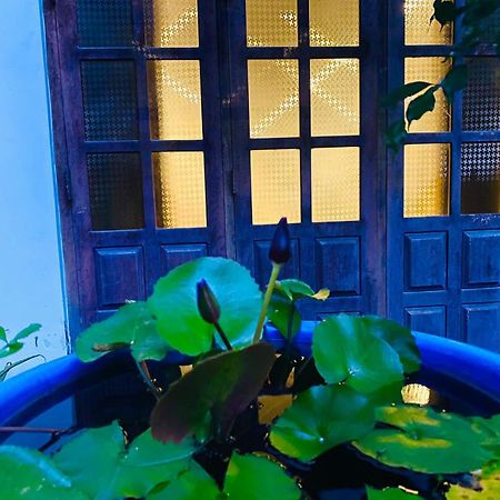 Sachi'S Place Tangalle Ngoại thất bức ảnh