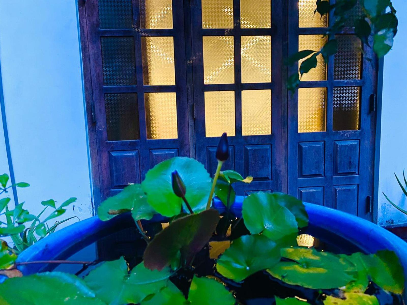 Sachi'S Place Tangalle Ngoại thất bức ảnh